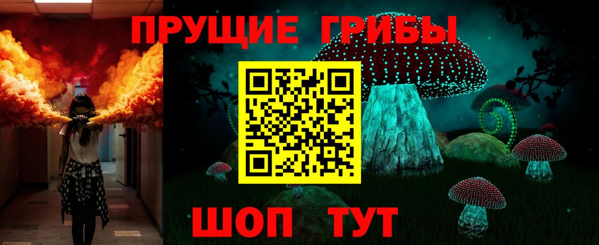Галлюциногенные грибы Cubensis  Галлюциногенные грибы мицелий  Вход с VPN  Петрозаводск 