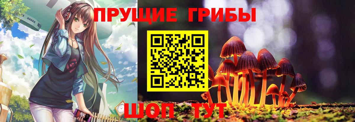 Галлюциногенные грибы прущие грибы Петрозаводск