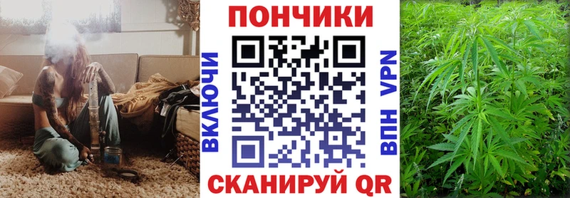 сколько стоит  мориарти Telegram  Конопля AK-47  Петрозаводск 